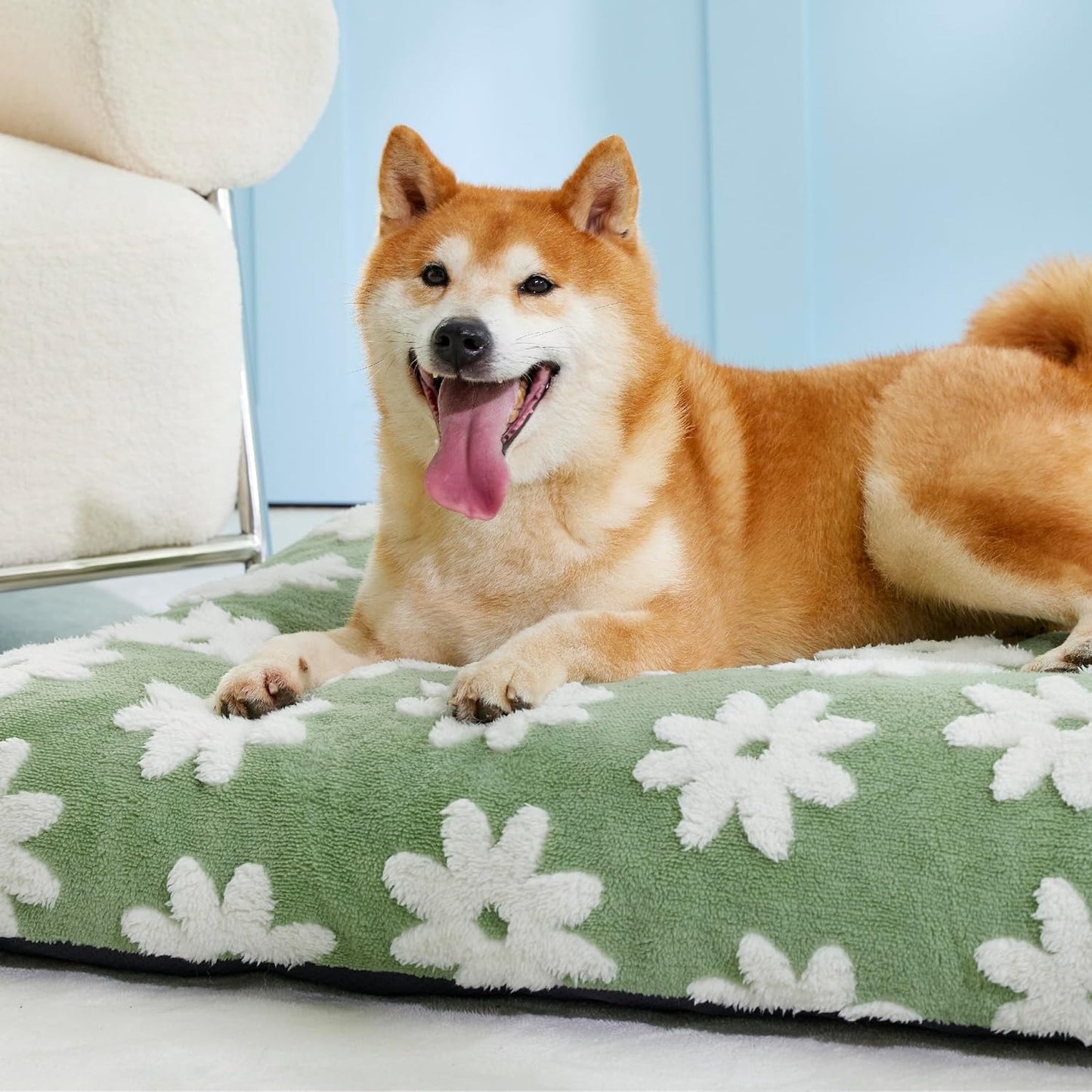 Dog Mattress