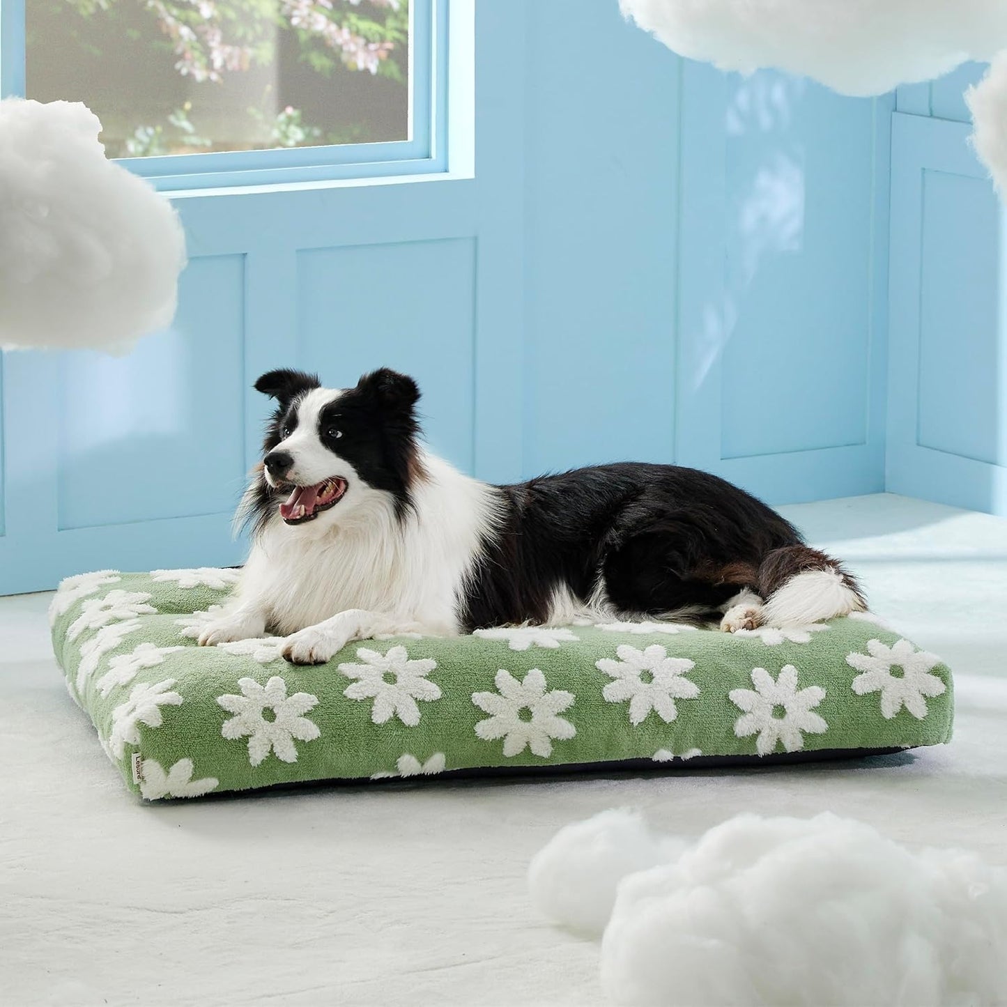 Dog Mattress