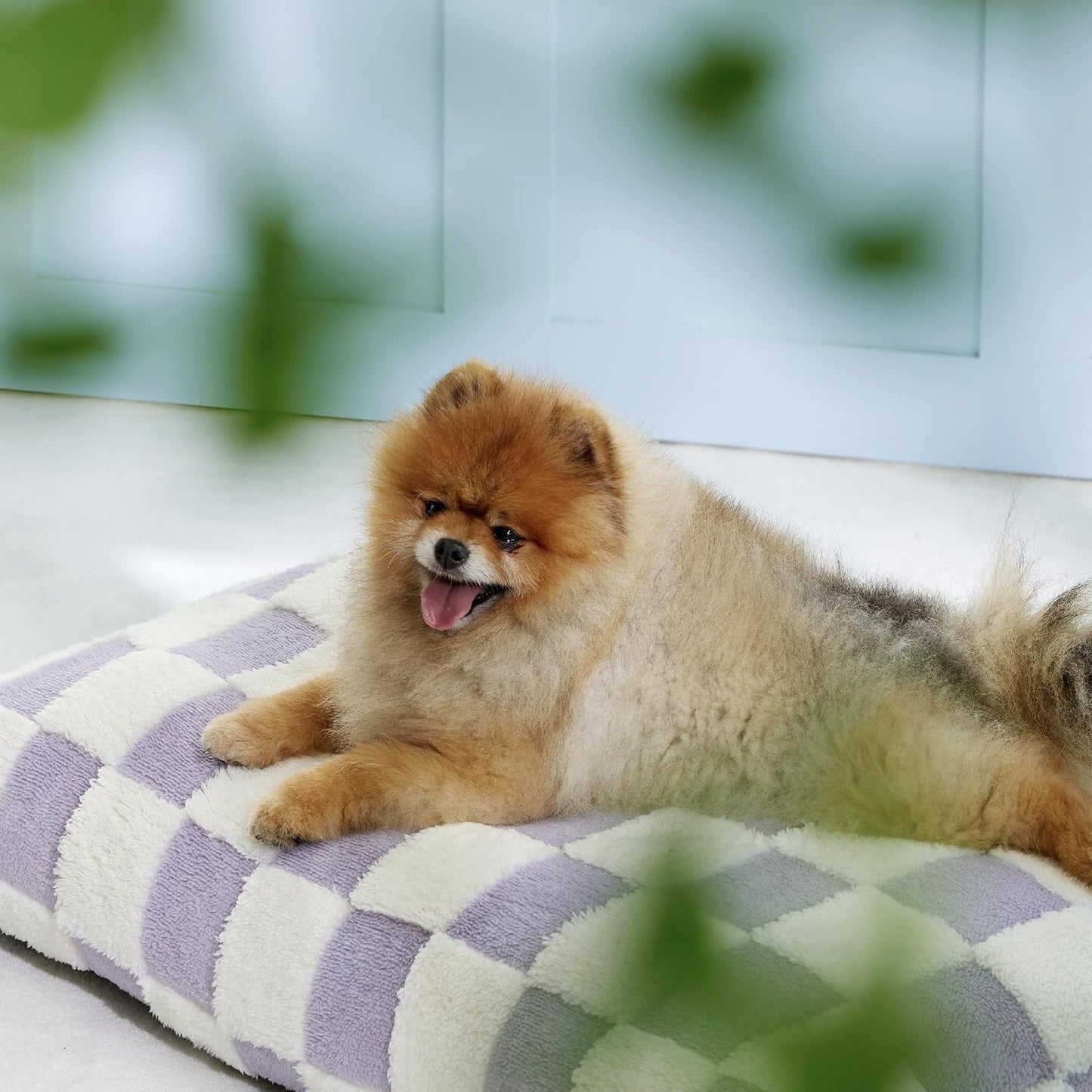 Dog Mattress