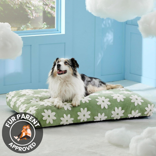 Dog Mattress